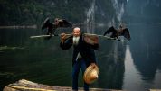 The Cormorant Fisherman