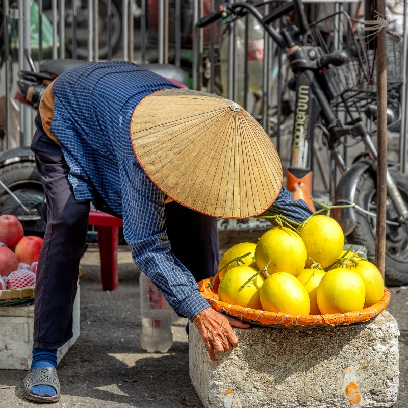 world traveller vietnam