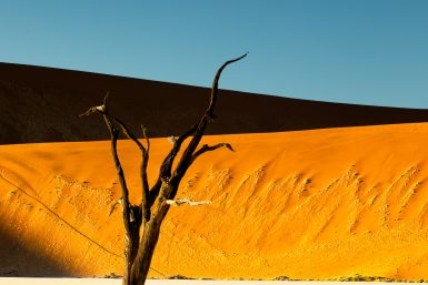 Namib desert morning