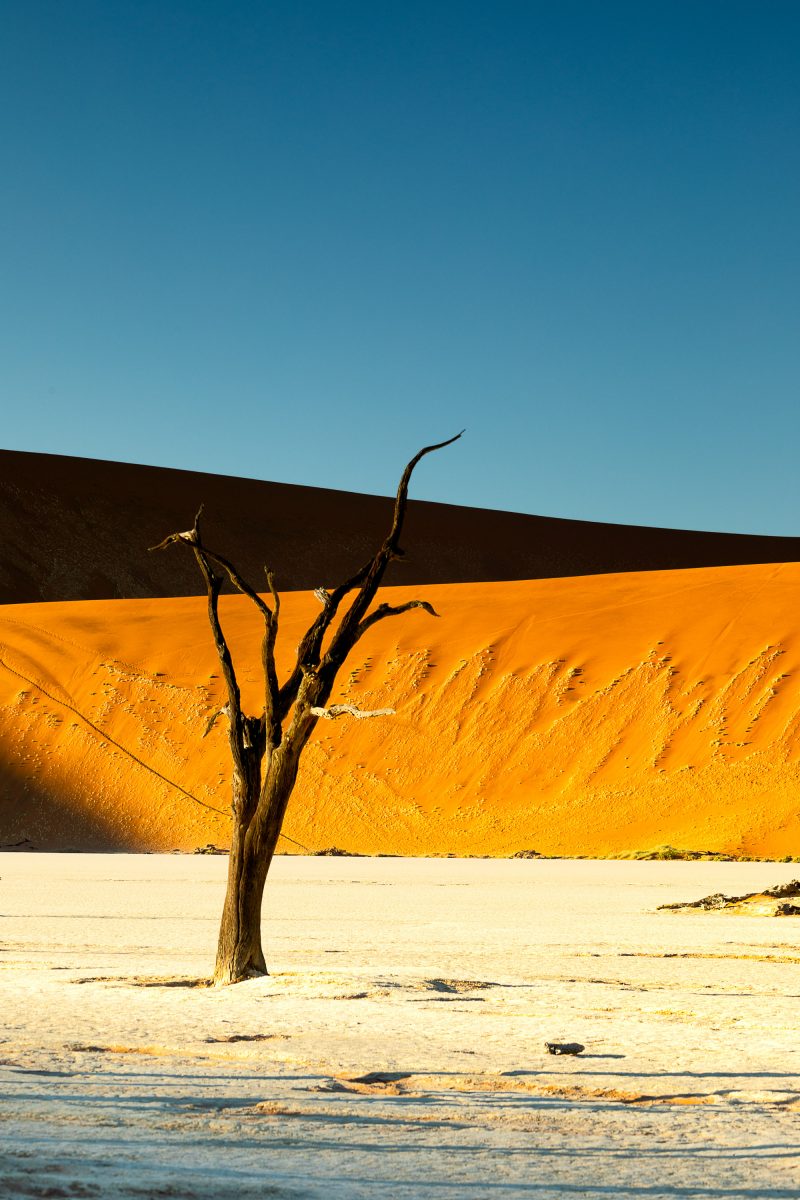 Namib desert morning