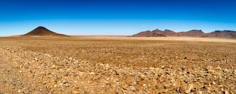 The Namibian Plains Panoramic