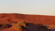 Namib desert morning