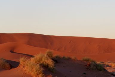 Namib desert morning