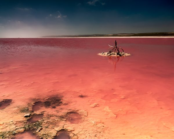 Pink Lake