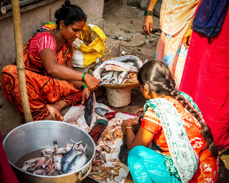 Dhavari selling fish