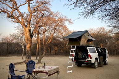 Khama Rhino Sanctuary Botswana