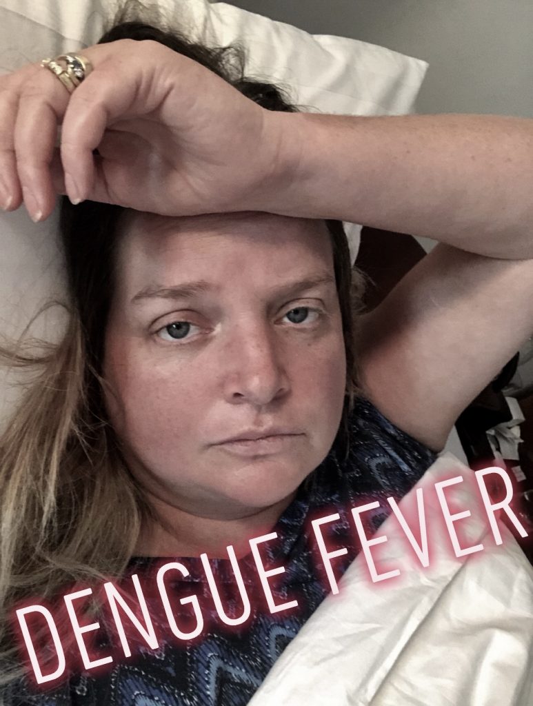Cambodia Dengue Fever