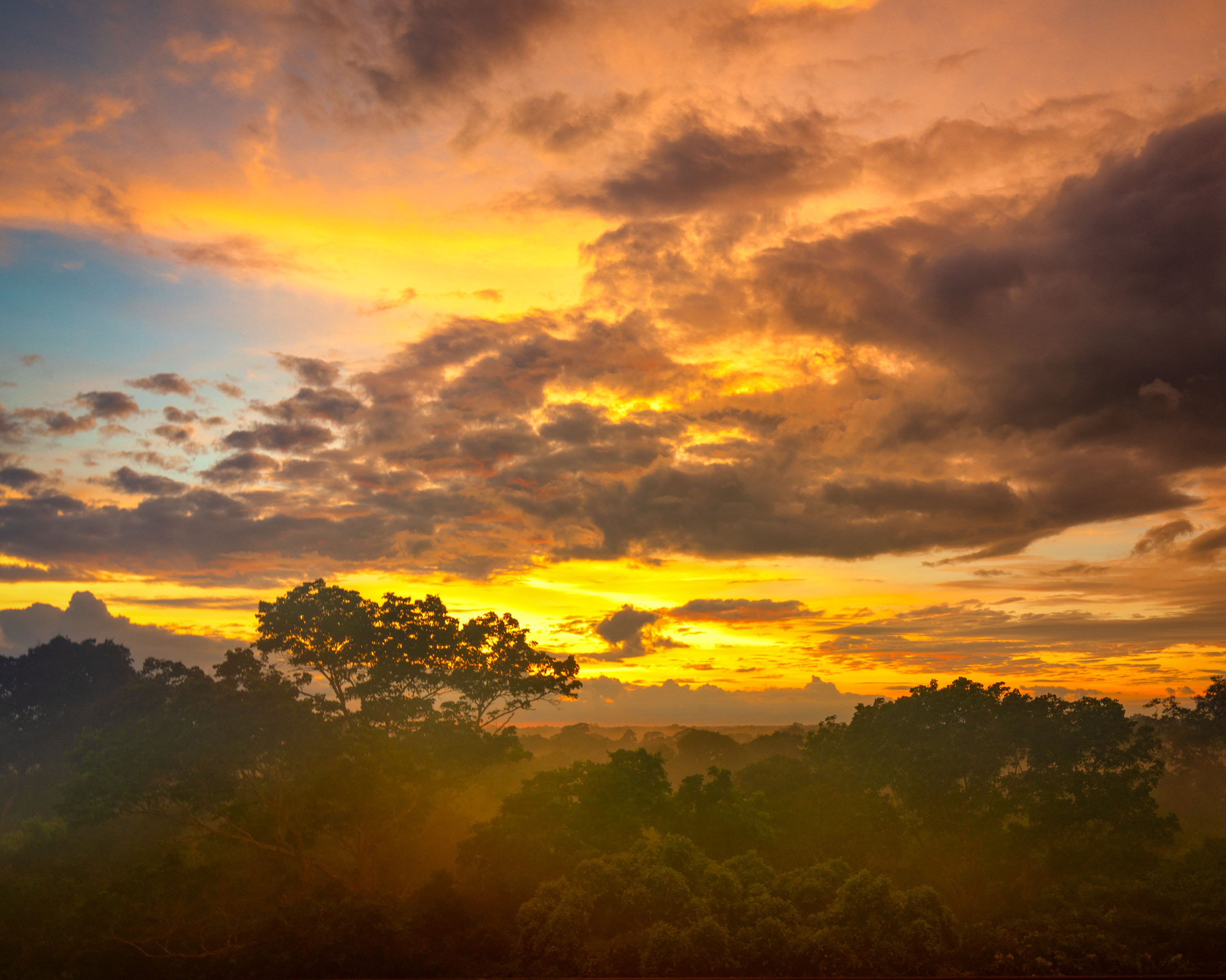 The sunrise over the Amazon Rainforest
