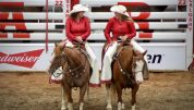 Calgary Stampede