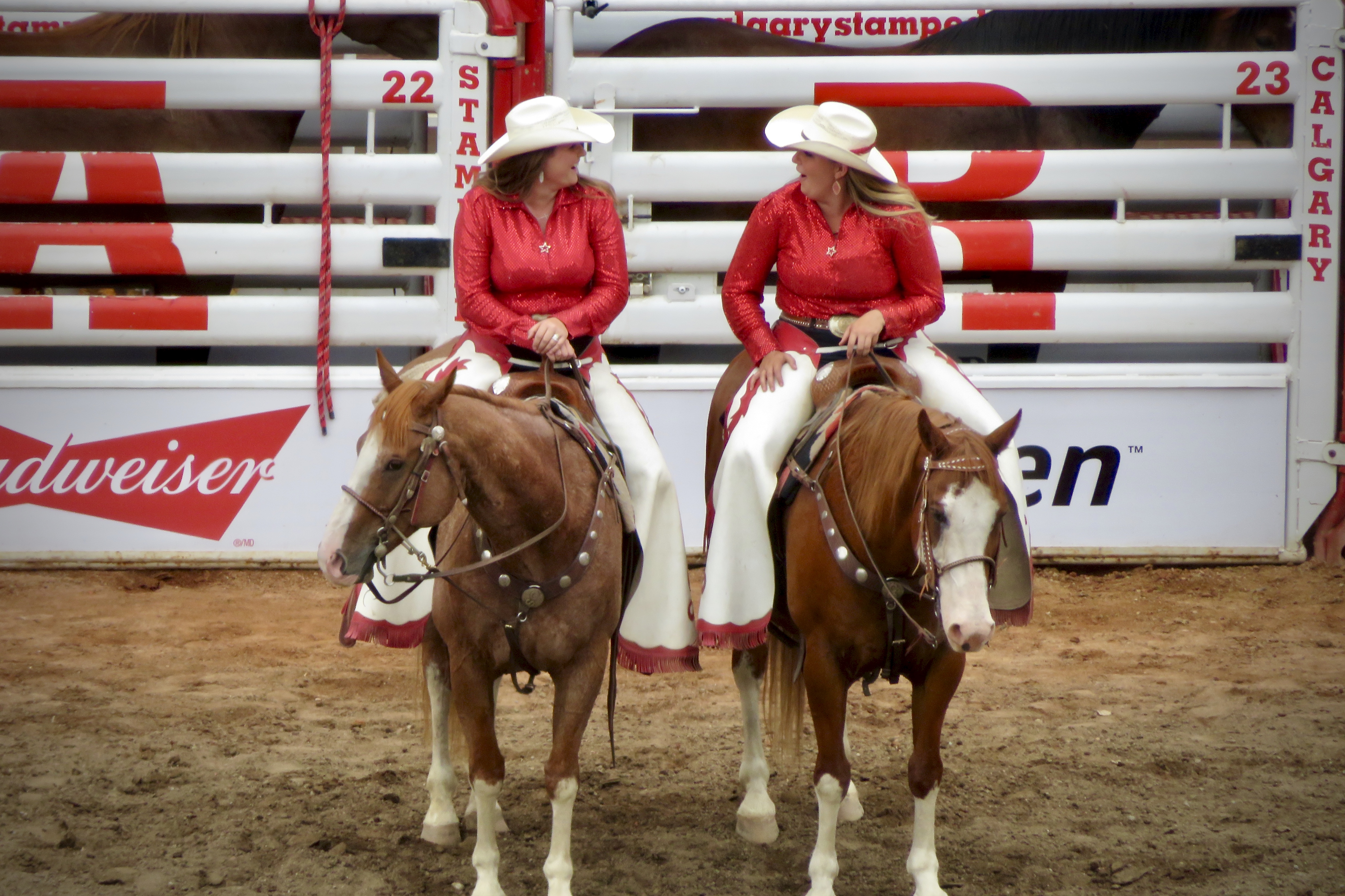 Calgary Stampede: All you need to know - the good the bad and the ugly! -  NomadicMacs