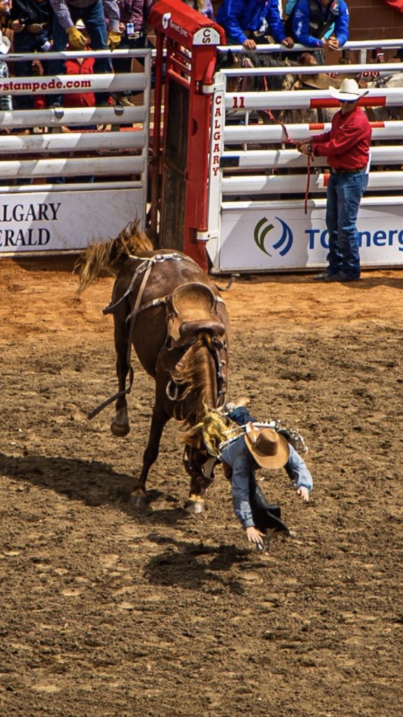 Calgary Stampede Rodeo